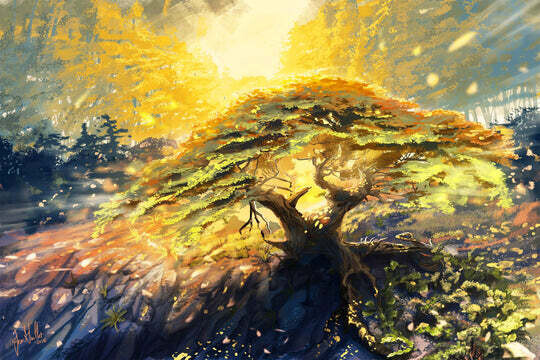 POINT LOBOS CYPRESS - Paint by Numbers kit for kids and Adults