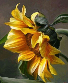 Alone Sunflower - Painting by Numbers kit