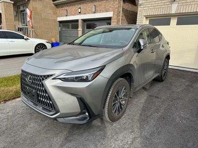 2024 Lexus NX350h Premium