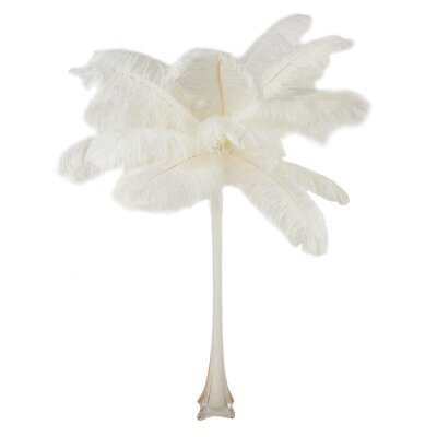 Feather plume - White