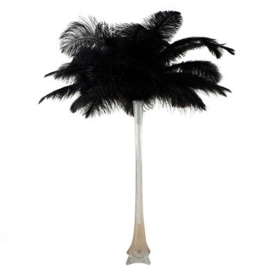Feather plume - Black