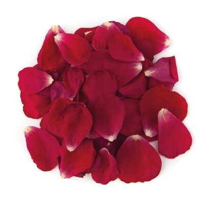 Rose Heads - one colour (Full box 300 heads approx)