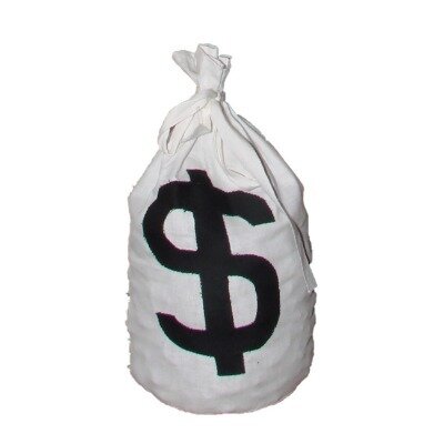 Money swag bags -large