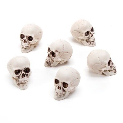 Skull small