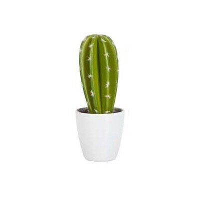 Cactus - mini V2