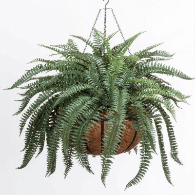 Hanging basket; fern SILK