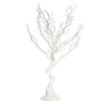 Manzanita tree; medium (80cm) - White
