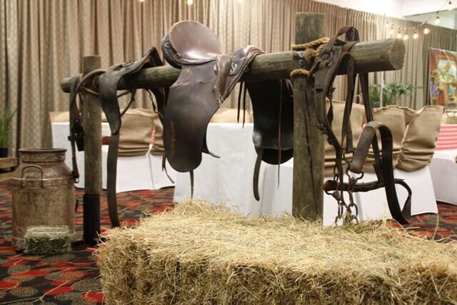 Bridles - Assorted