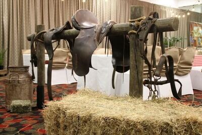 Bridles - Assorted
