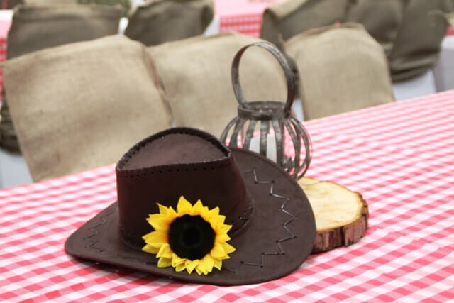 Cowboy hats - assorted