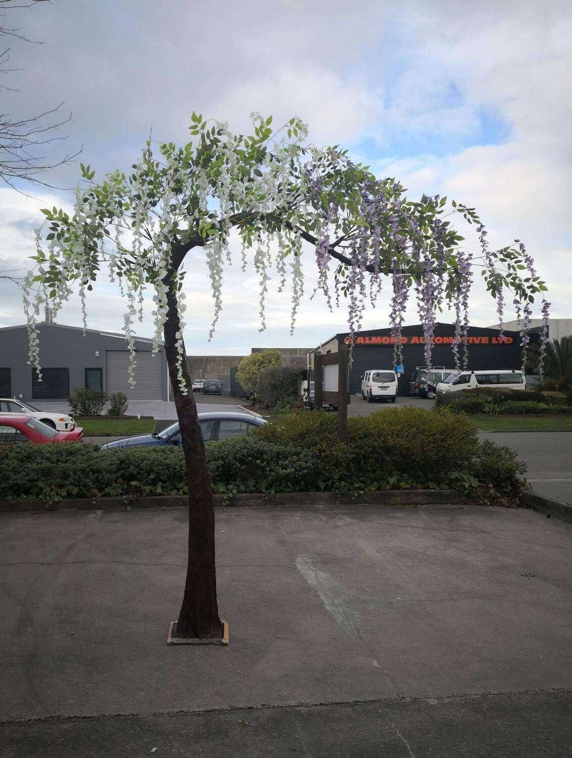 PKG - Tree - lifesize with wisteria