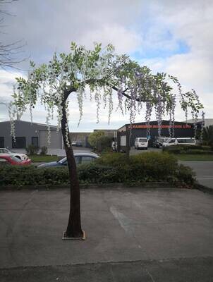 PKG - Tree - lifesize with wisteria