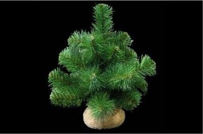 Christmas tree - 12" with burlap