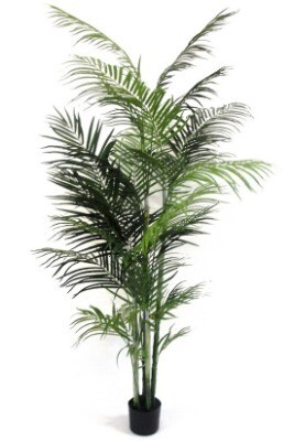 Palm tree; arcia - silk 2.1m