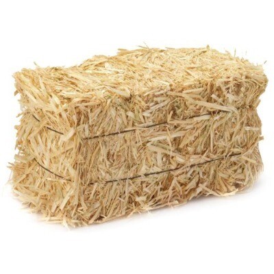 Straw bales - conventional