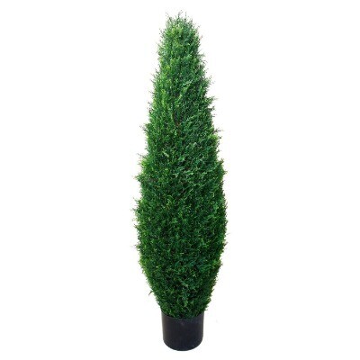 Tree; cypress 1.2m