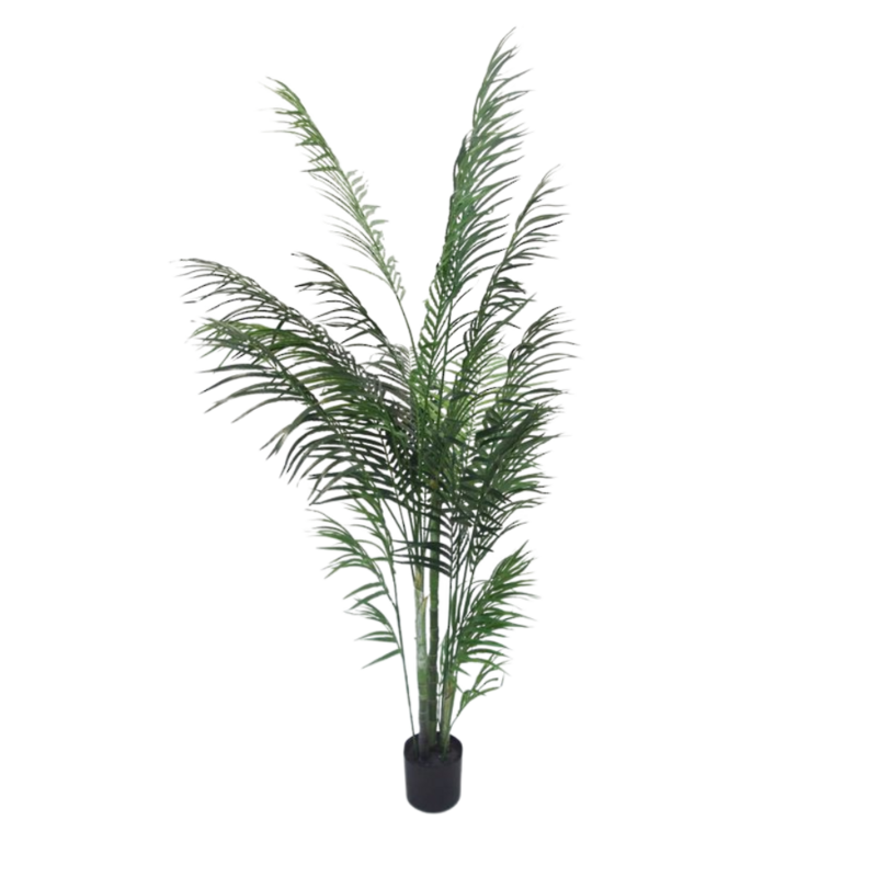 Palm tree; arcia - silk; 1.7mH 1mW (V2)