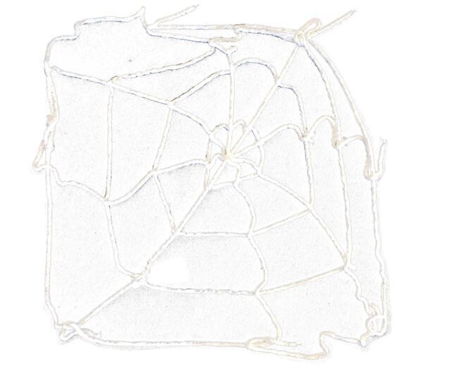 Giant cobweb