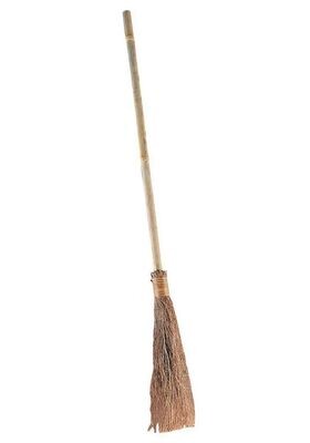 Witches Broom SMALL