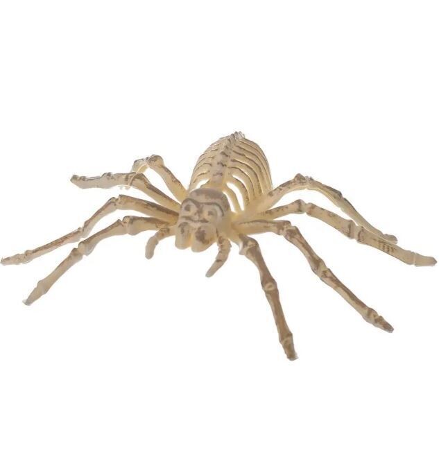 Spider skeletons (bag of 5)