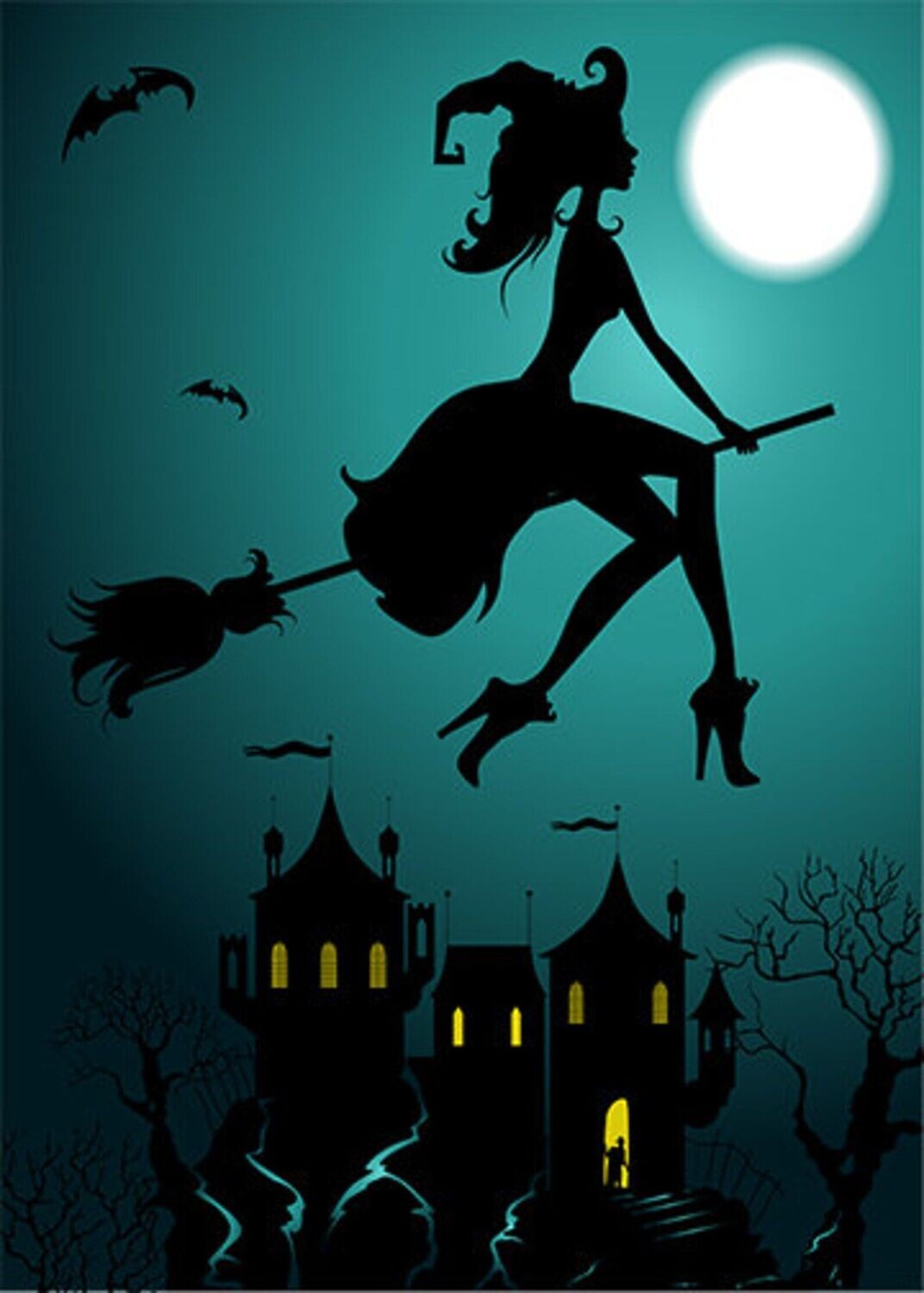 Witch door cover