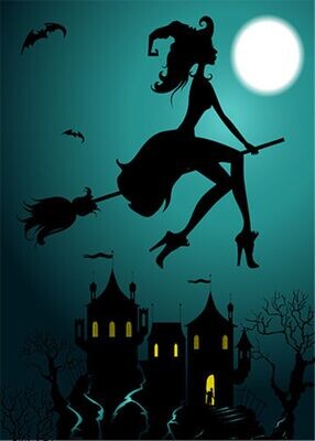Witch door cover