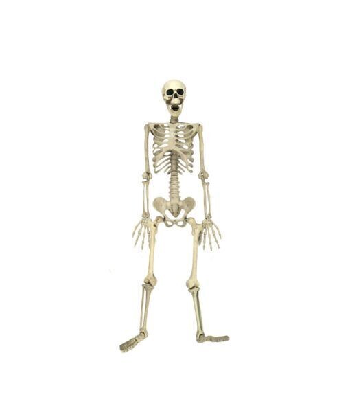 Skeleton 88cm