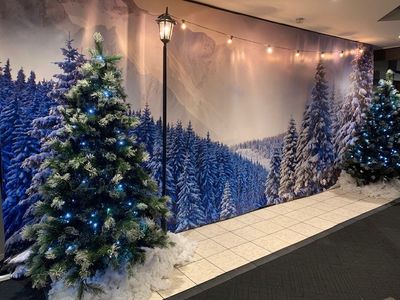 Backdrop - Winter Wonderland - canvas (6mW x 3mH)