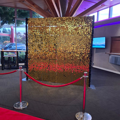 Shimmer wall package - GOLD (Small 2.4m x 2.4m)