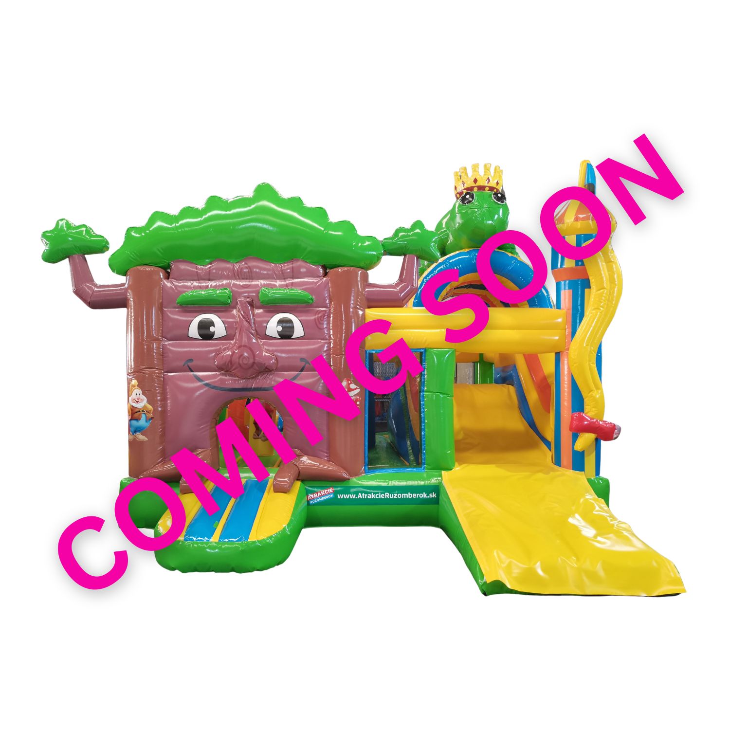 Fairytale Bouncy Castle