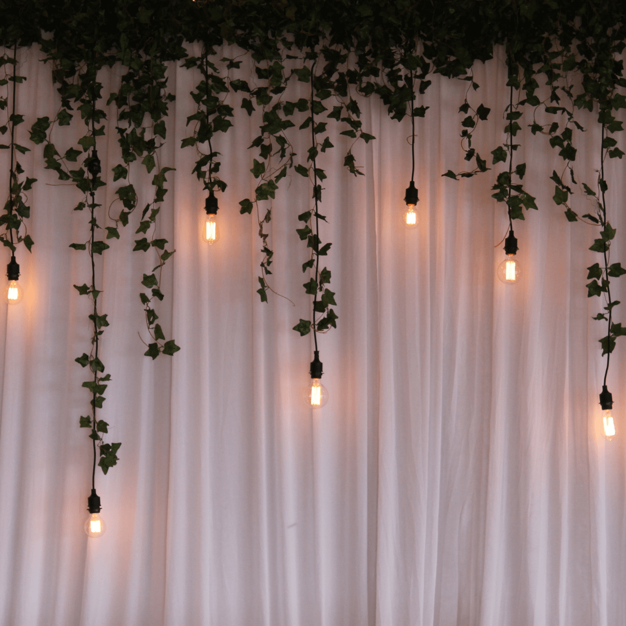 Pendants & Ivy Backdrop