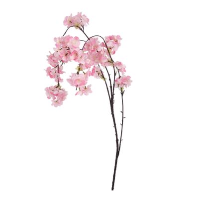 Blossom Stem Blossom Stem