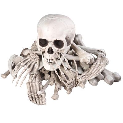 Skeleton bones; pieces