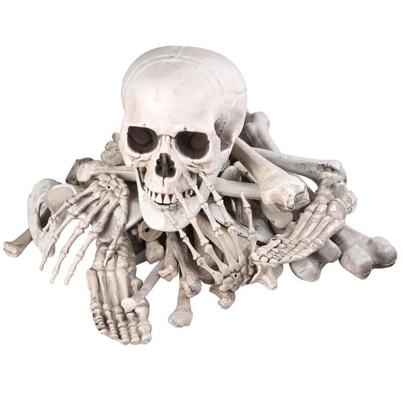 Skeleton bones; pieces