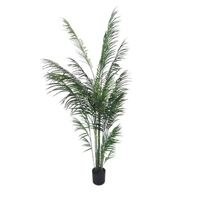Palm tree; arcia - silk; 1.7mH 1mW (V2)
