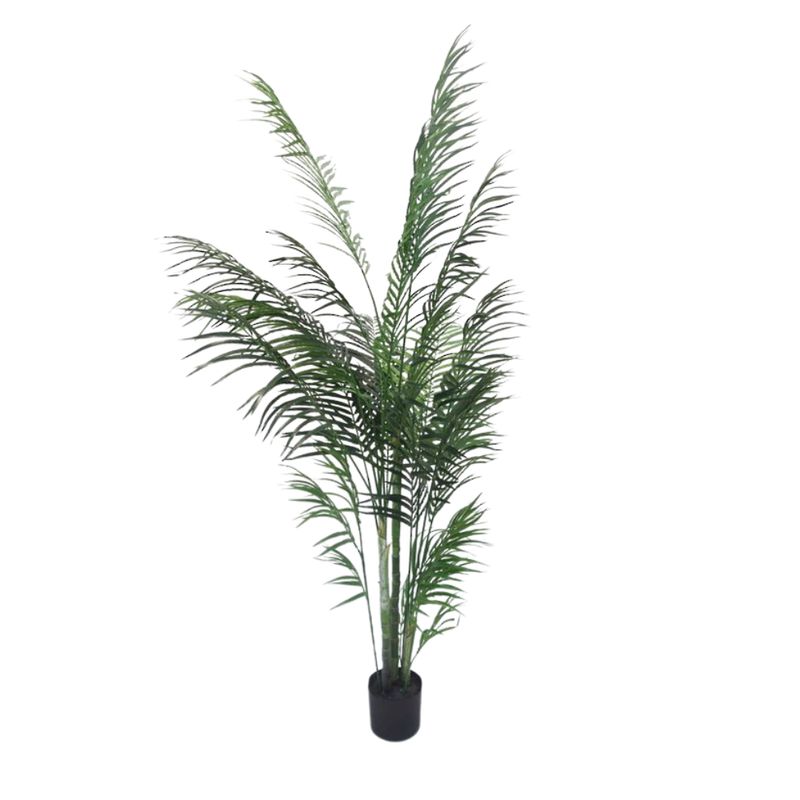 Palm tree; arcia - silk; 1.7mH 1mW (V2)