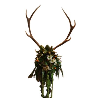 Deer head - with cap (assorted)