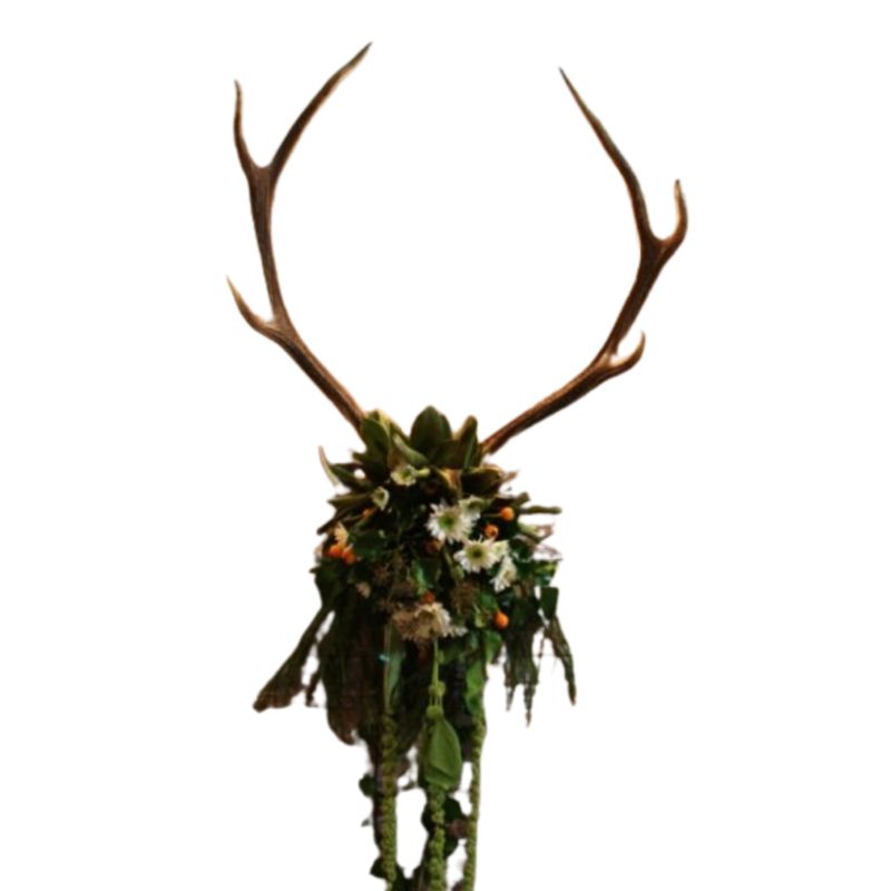 Deer head - with cap (assorted)