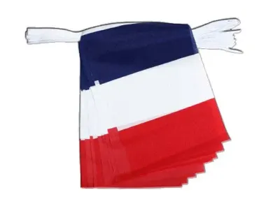 Flag - France/French bunting