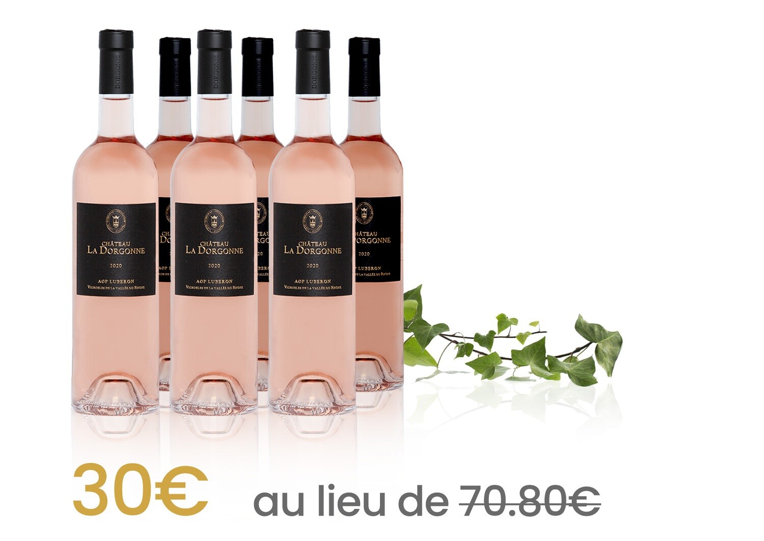 Coffret 6 Bouteilles Rosé Château La Dorgonne 2020 AOP Luberon - 75CL