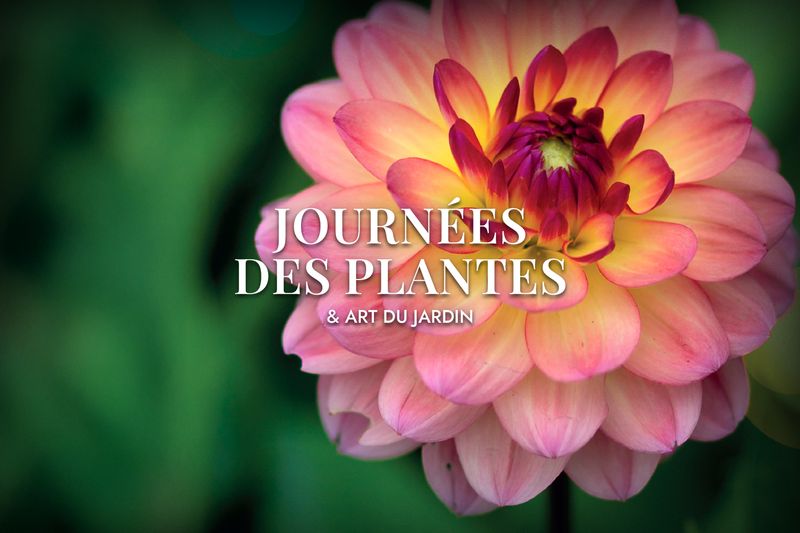 Journées des plantes & art du jardin