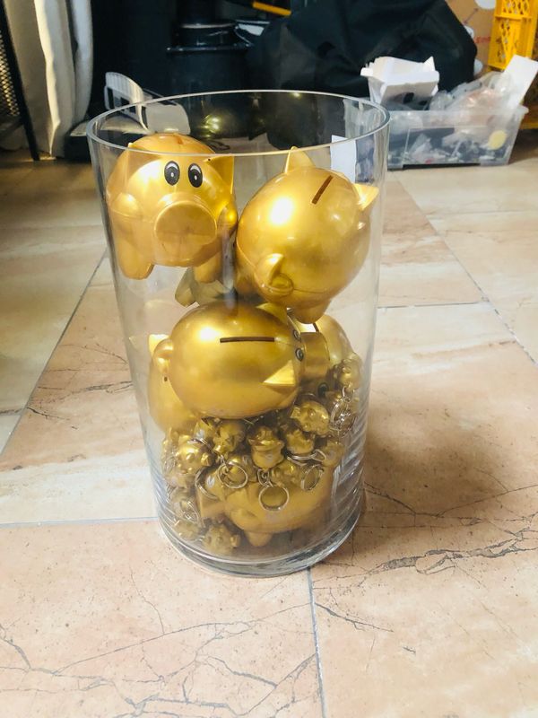 Schweine raten