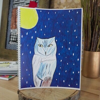 Night Owl Notebook