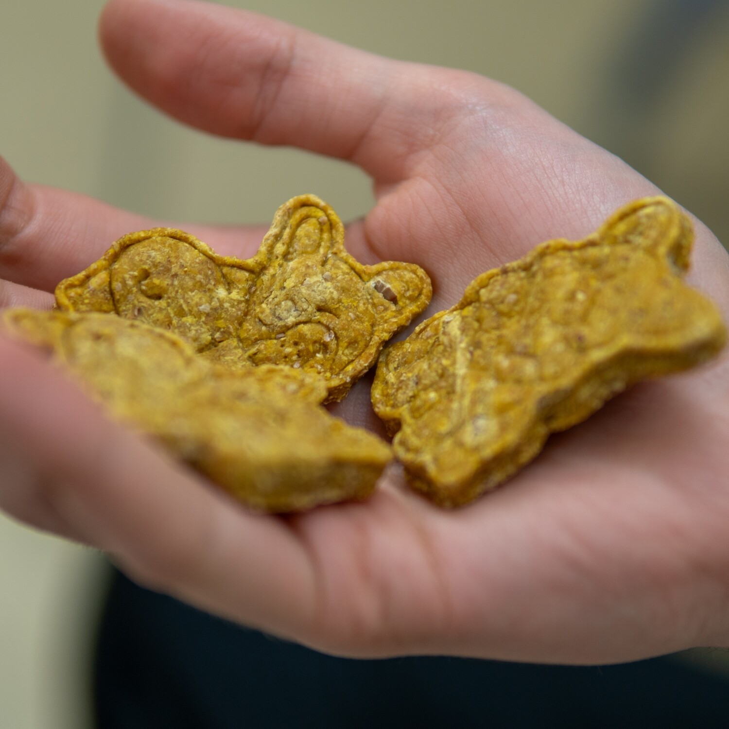 Dog Treats, Flavours: Apple Cinnmon