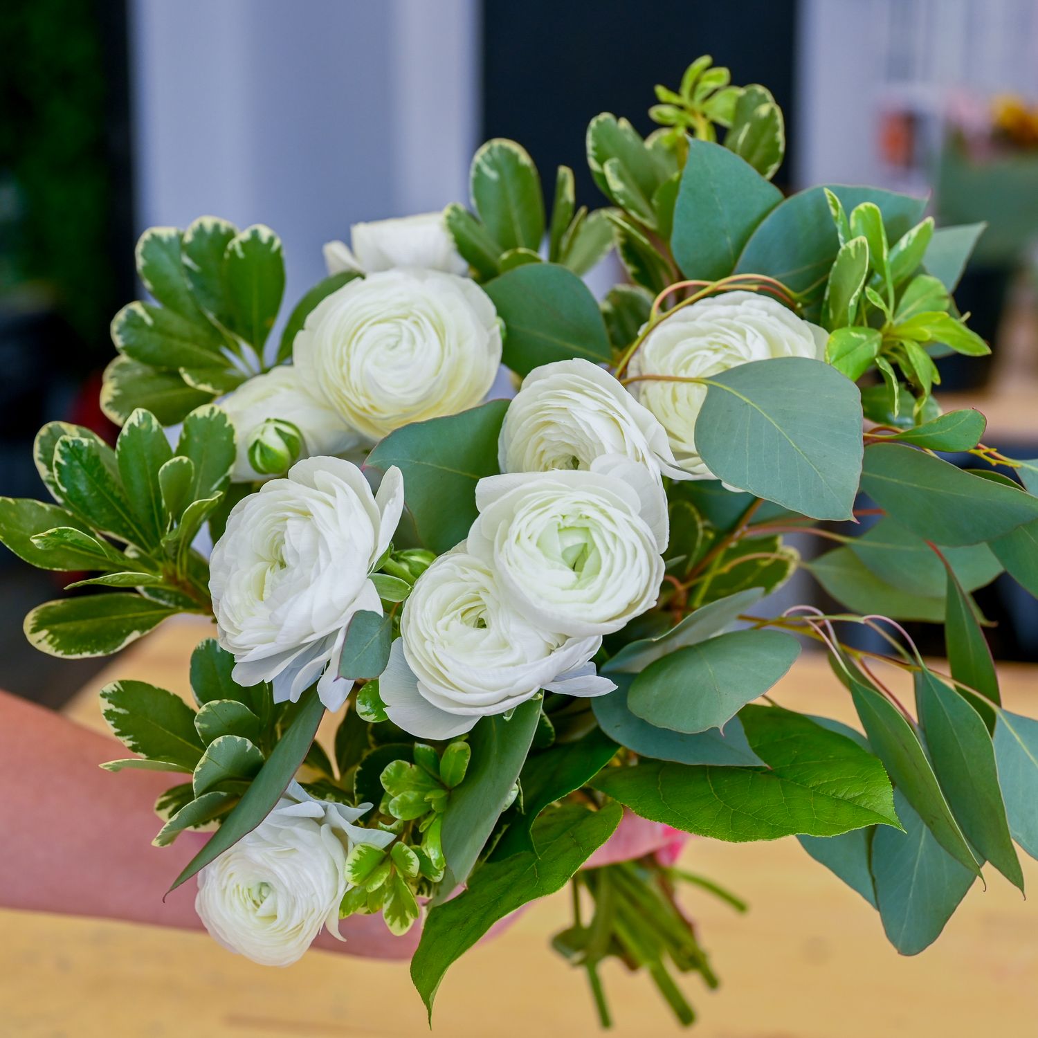 The Ranunculus