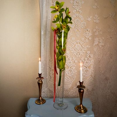 Orchidée en vase dans une boîte