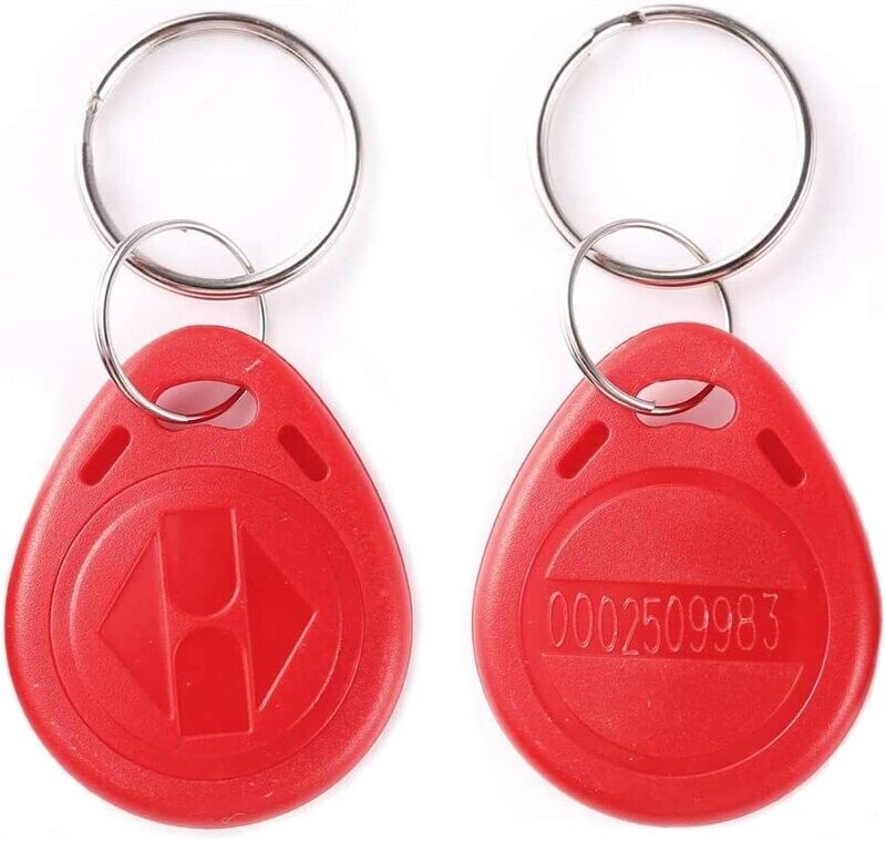 Porte clé RFID 125KHz Lot de 100 Porte clés