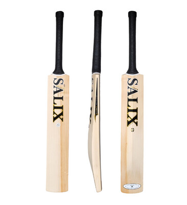 Salix AJK Marque Cricket Bat (2024)