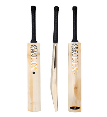 Salix AMP Select Cricket Bat (2024)