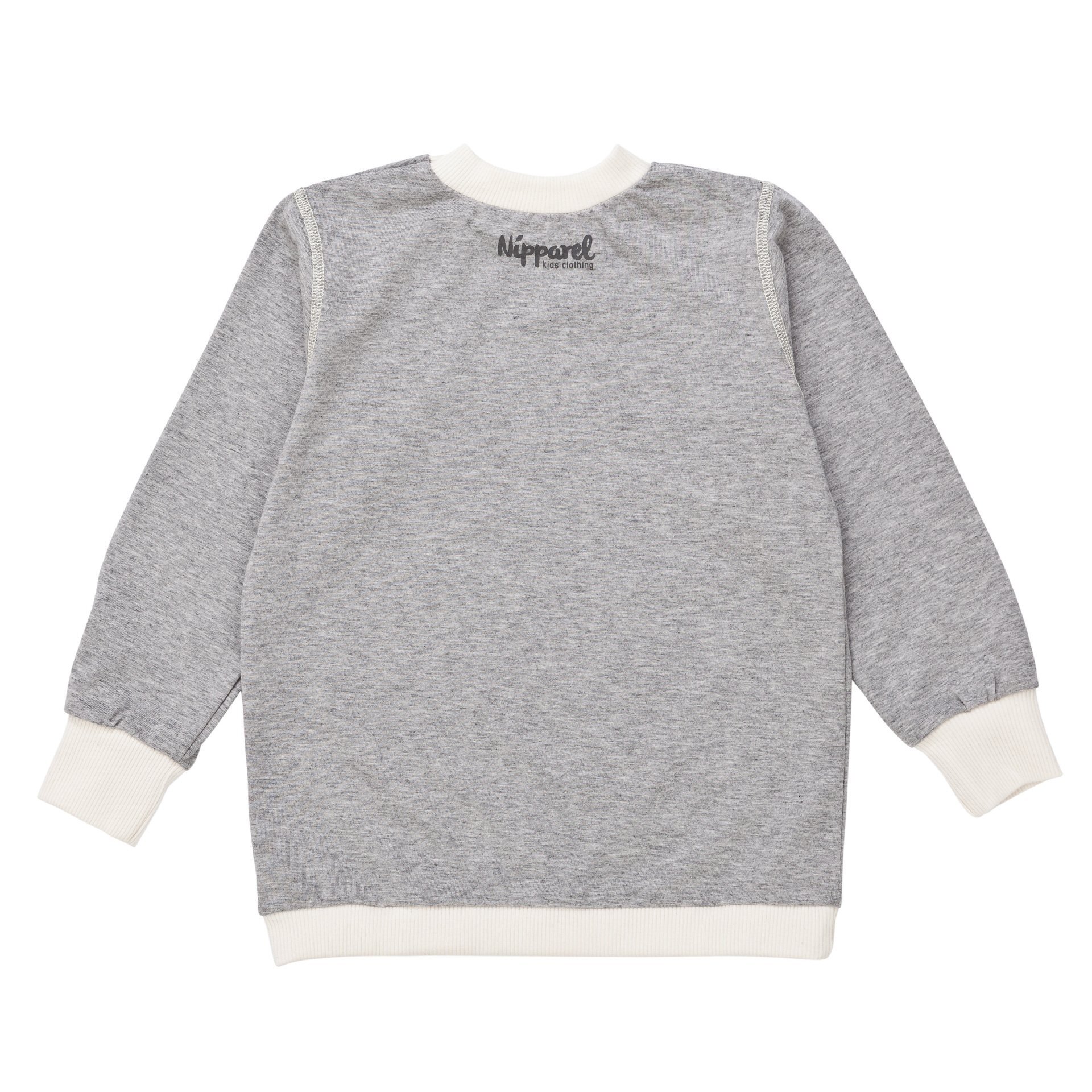 Kinder T-Shirt Langarm aus Bio-Baumwolle in Grau mit Rundhals – weich & schlicht – Vorderansicht